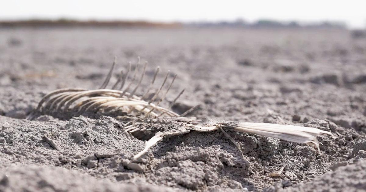 Wassernot in Österreich zeichnet sich ab