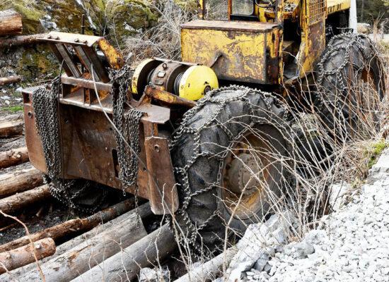 illegale abholzung in rumänien