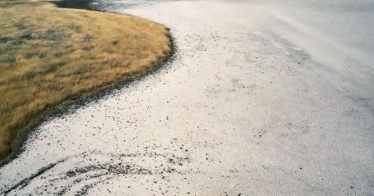 zicksee wüste im seewinkel